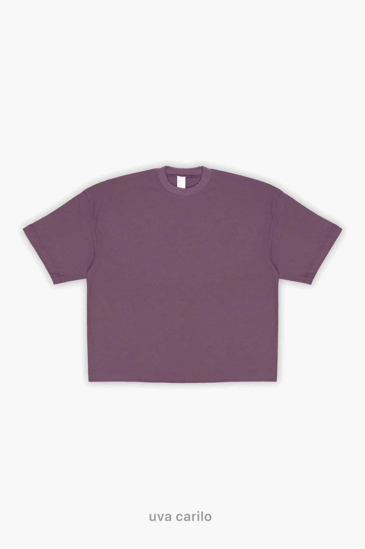 Remera Boxy Fit