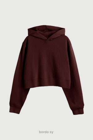 Hoodie Wide Cut Frisado - Bordo Sy