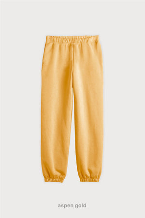 Jogger Regular Super Soft Frisado - Aspen Gold